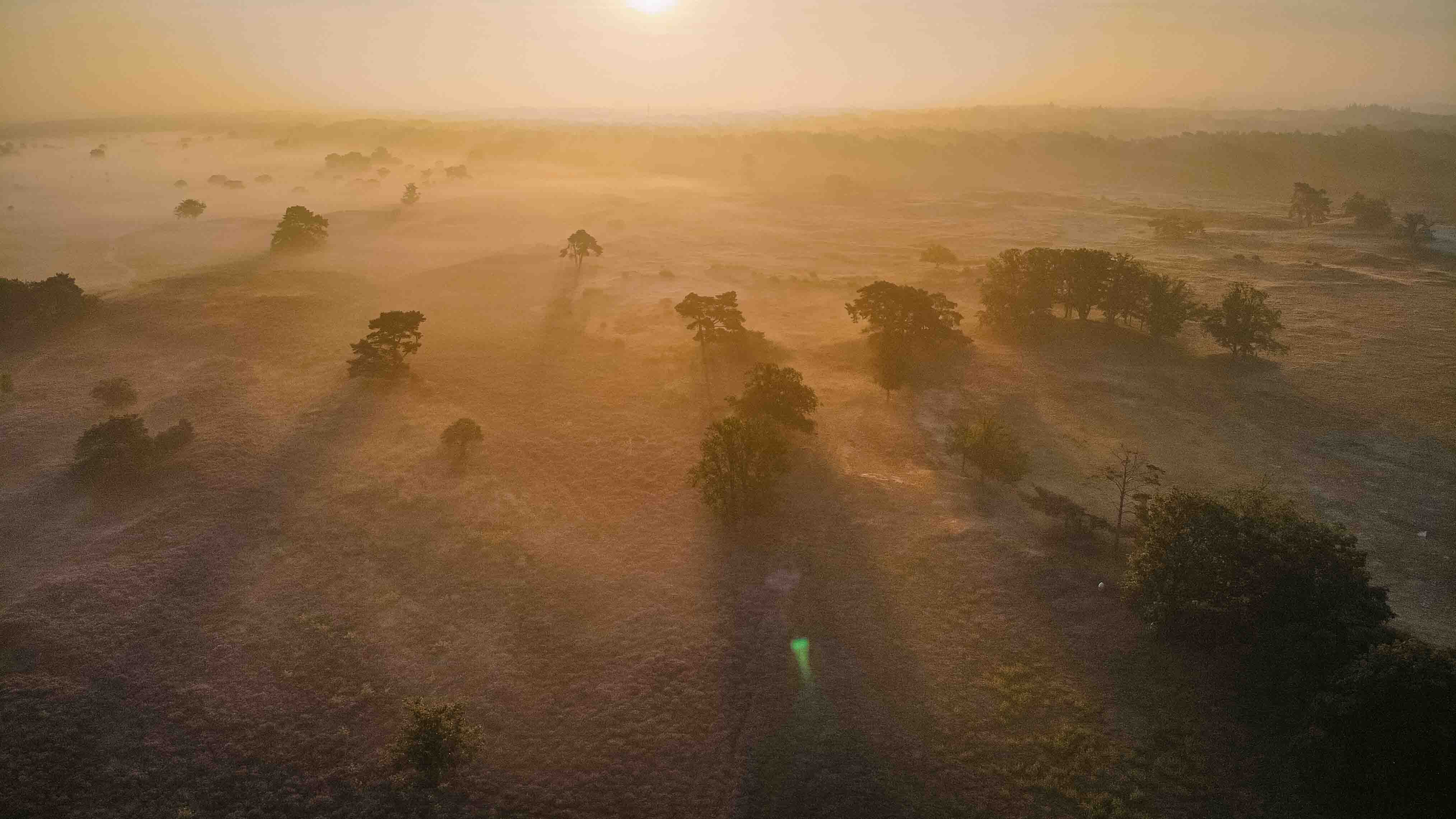 SUSTAIN Pro: Empowering women and youth leaders in sugarcane cooperatives in Kilombero, Tanzania